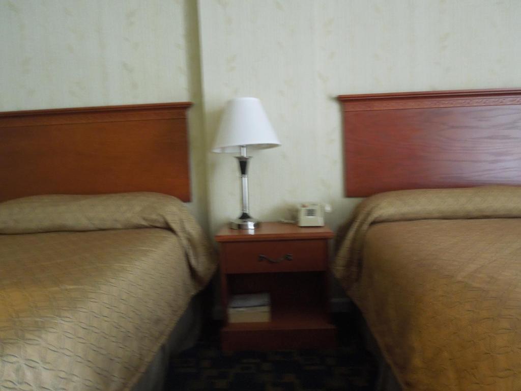 Seahawk Motel 버지니아비치 객실 사진